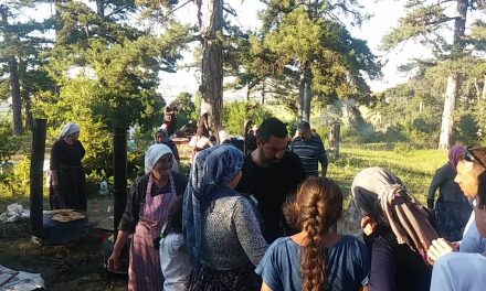 13. Katmer Şenliği Resim Galerisi
